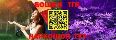 дмт Камышлов