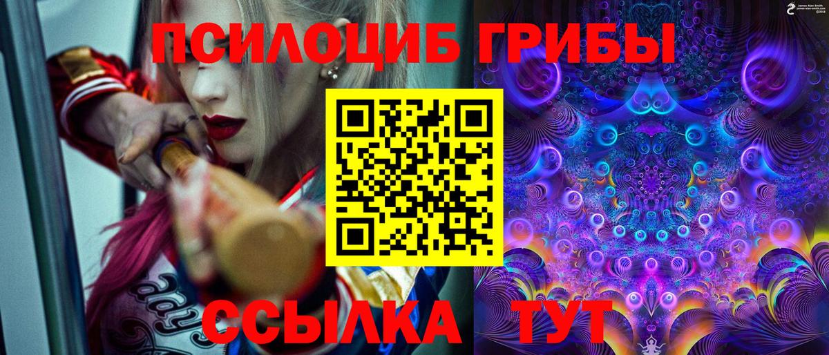 Галлюциногенные грибы Psilocybine cubensis  Вход с VPN  Корсаков 